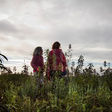 Villa Atitudo Nature *