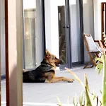 Atitudo Nature * Portimão