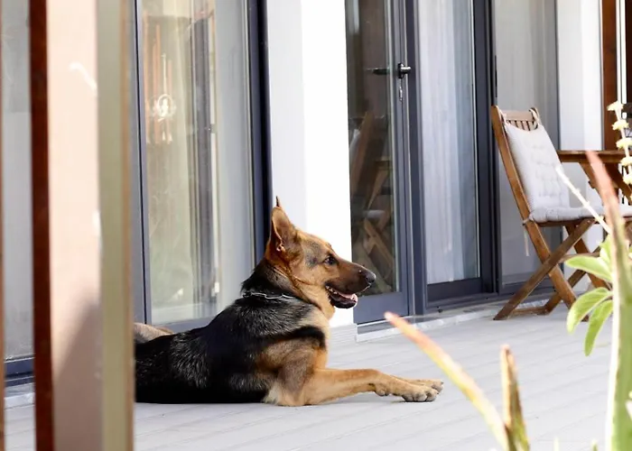 Atitudo Nature * Portimao