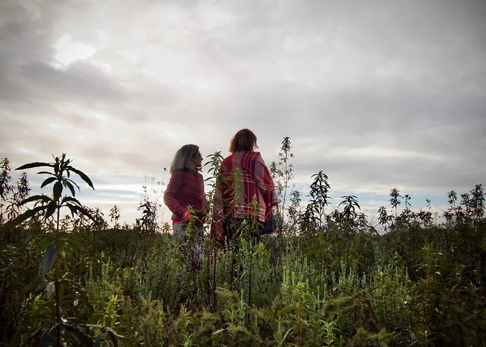 Villa Atitudo Nature *