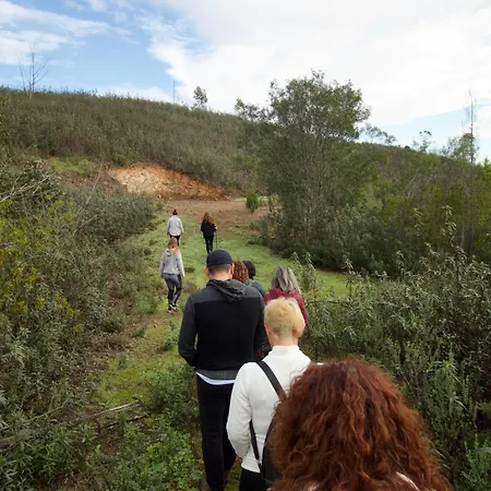 Atitudo Nature